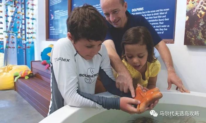 马尔代夫中央格兰德旅游攻略-马尔代夫中央格兰德岛(图42) 马尔代夫中央格兰德岛_马尔代夫中央格陵兰岛_马尔代夫中央格兰德旅游攻略