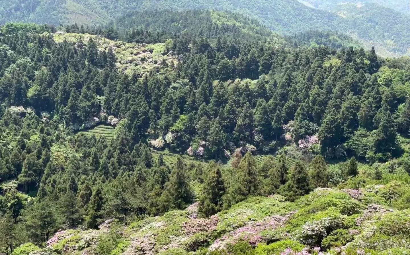 成都天台山旅游攻略-天台攻略成都旅游山庄(图12) 成都天台山旅游攻略_成都天台山游记_天台攻略成都旅游山庄