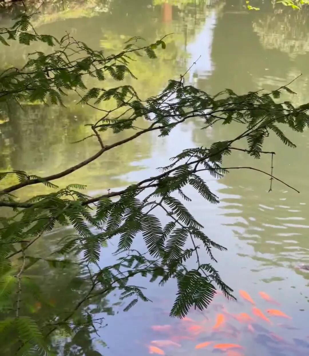 成都天台山旅游攻略-天台攻略成都旅游山庄(图13) 成都天台山游记_天台攻略成都旅游山庄_成都天台山旅游攻略