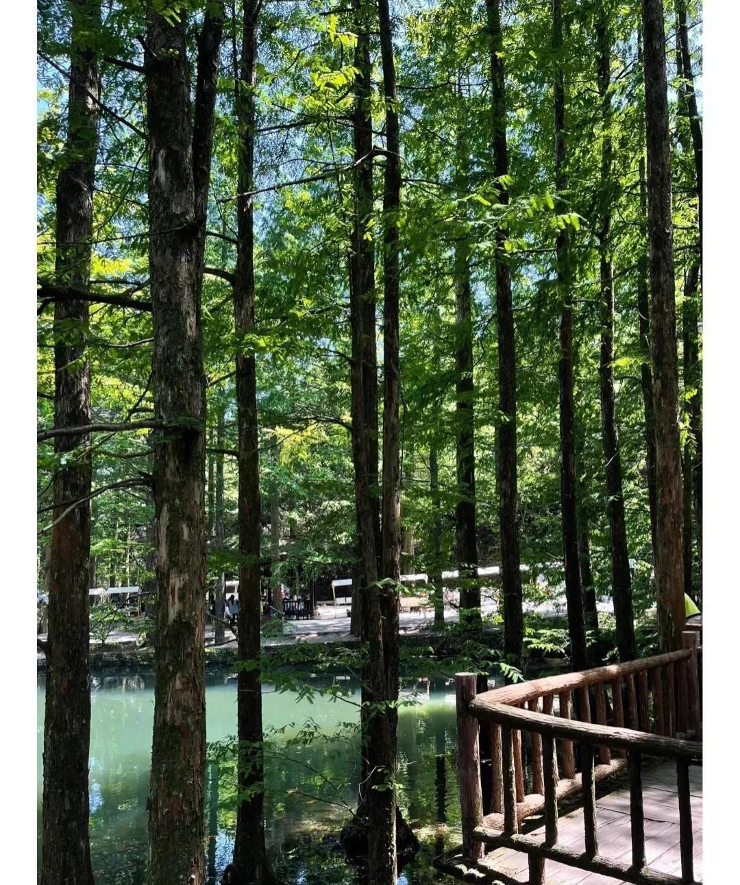 成都天台山旅游攻略-天台攻略成都旅游山庄(图5) 成都天台山旅游攻略_成都天台山游记_天台攻略成都旅游山庄