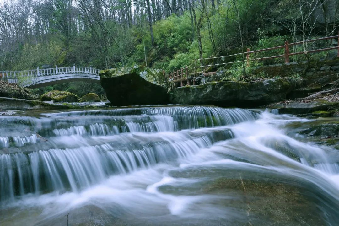 木王森林公园旅游攻略-森林公园游玩路线