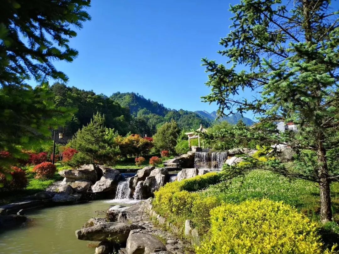 木王森林公园旅游攻略-森林公园游玩路线(图10) 森林公园全景_森林公园游玩路线_木王森林公园旅游攻略