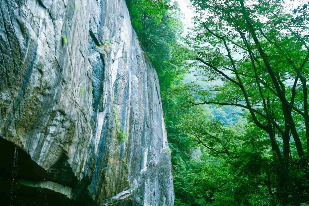 木王森林公园旅游攻略-森林公园游玩路线(图11) 森林公园游玩路线_森林公园全景_木王森林公园旅游攻略