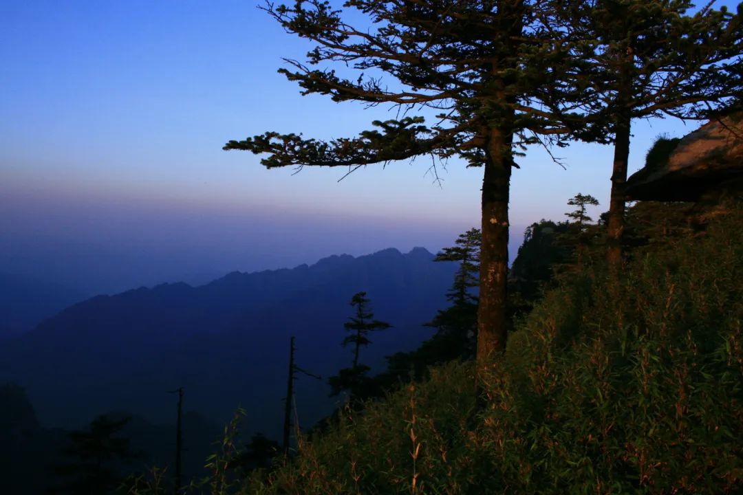 木王森林公园旅游攻略-森林公园游玩路线(图17) 木王森林公园旅游攻略_森林公园全景_森林公园游玩路线