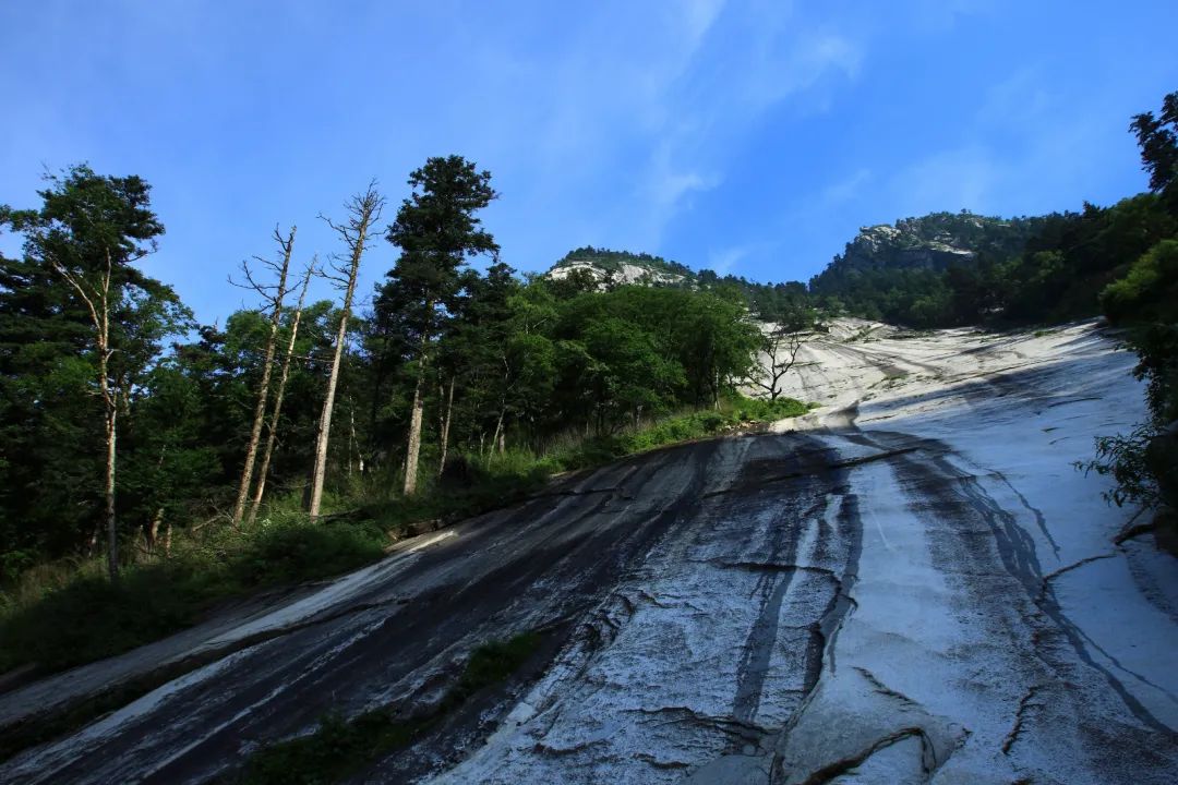 木王森林公园旅游攻略-森林公园游玩路线(图18) 森林公园全景_森林公园游玩路线_木王森林公园旅游攻略