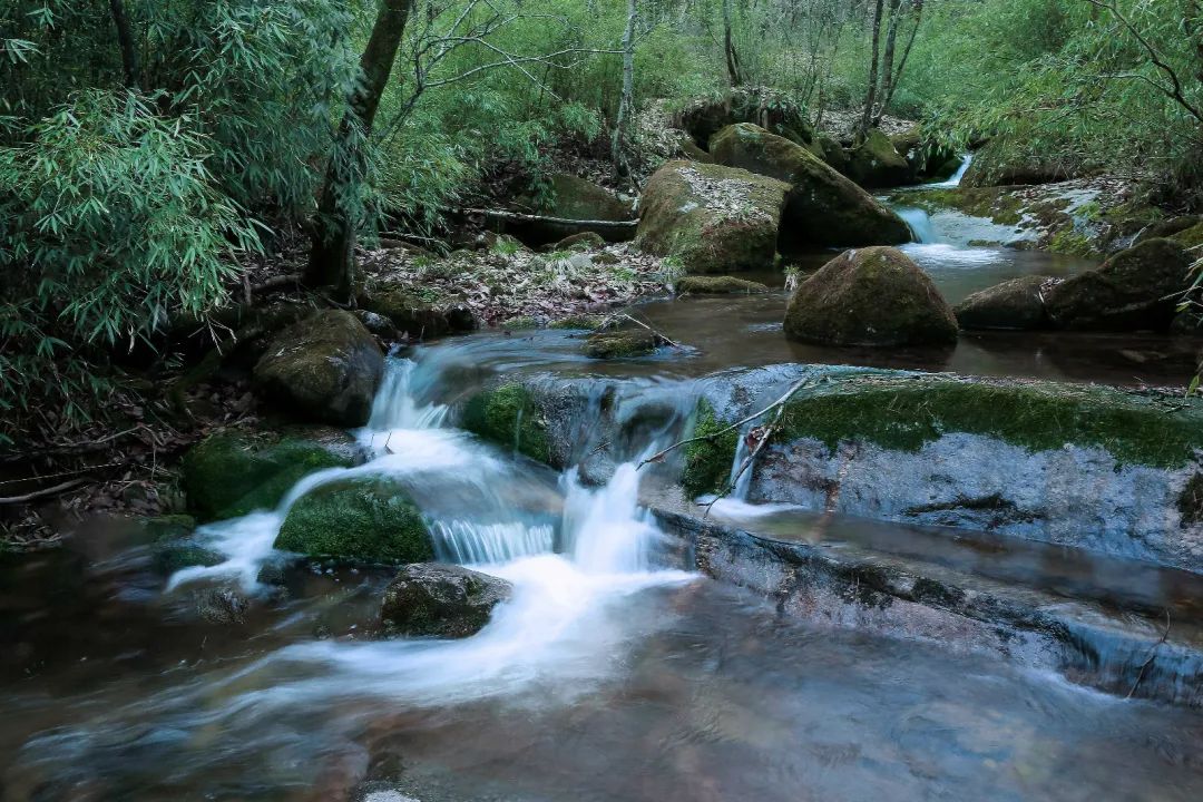 木王森林公园旅游攻略-森林公园游玩路线(图5) 森林公园全景_木王森林公园旅游攻略_森林公园游玩路线