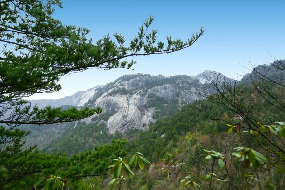 木王森林公园旅游攻略-森林公园游玩路线(图7) 森林公园游玩路线_木王森林公园旅游攻略_森林公园全景