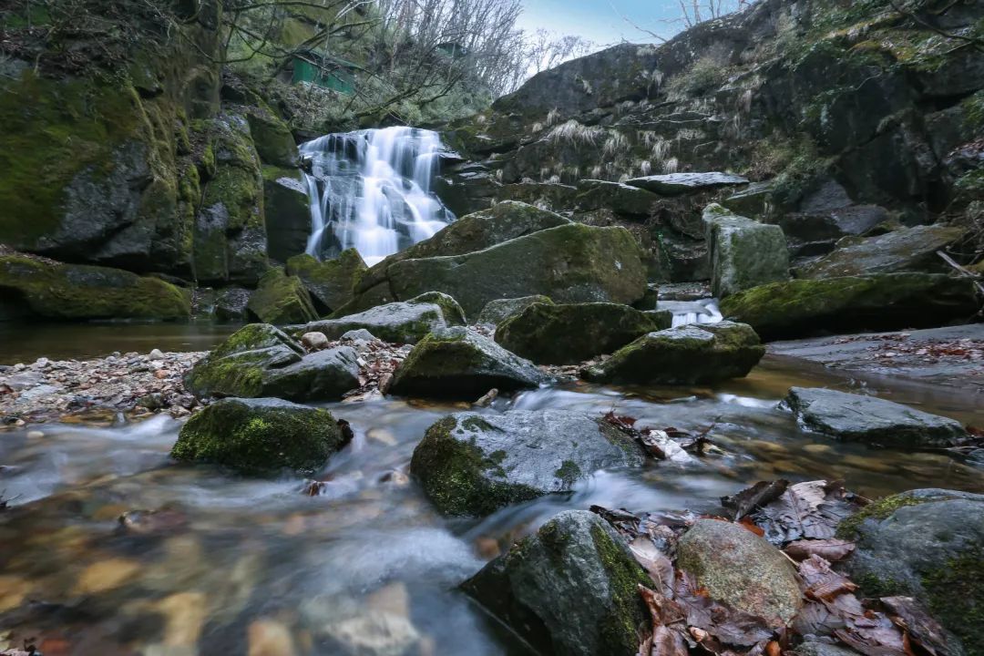 木王森林公园旅游攻略-森林公园游玩路线(图8) 森林公园游玩路线_森林公园全景_木王森林公园旅游攻略