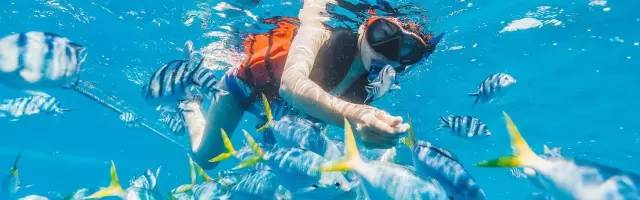 马尔代夫中央格兰德旅游攻略-马尔代夫旅游攻略报价(图28) 马尔代夫中央格兰德旅游攻略_马尔代夫度假价格_马尔代夫旅游攻略报价