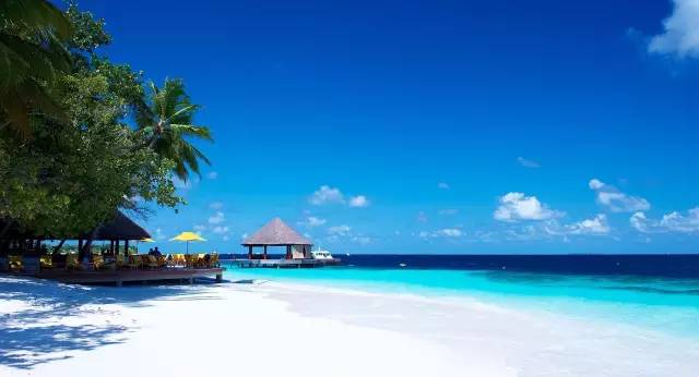 马尔代夫中央格兰德旅游攻略-马尔代夫旅游攻略报价(图30) 马尔代夫度假价格_马尔代夫旅游攻略报价_马尔代夫中央格兰德旅游攻略