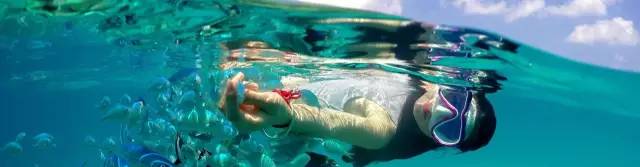 马尔代夫中央格兰德旅游攻略-马尔代夫旅游攻略报价(图32) 马尔代夫旅游攻略报价_马尔代夫度假价格_马尔代夫中央格兰德旅游攻略