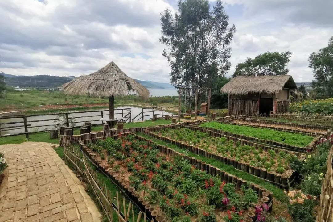 春节元阳旅游攻略_元阳一日游攻略_元阳景点游的顺序如何安排