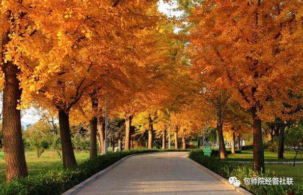 重庆旅游攻略吃货大全_重庆吃货旅游攻略_吃货攻略重庆旅游视频