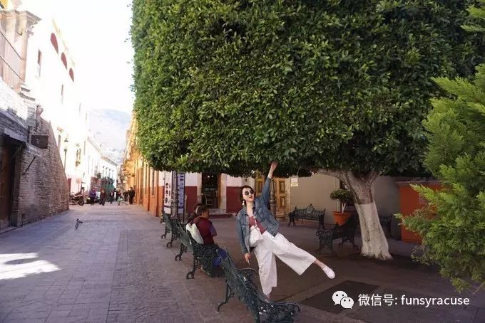 墨西哥旅游地_墨西哥城旅游攻略_墨西哥攻略旅游城市推荐