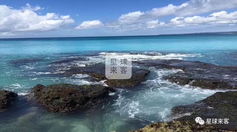 旅游攻略台湾高雄-台湾高雄的景点(图1) 台湾高雄有什么好玩的_台湾高雄的景点_旅游攻略台湾高雄