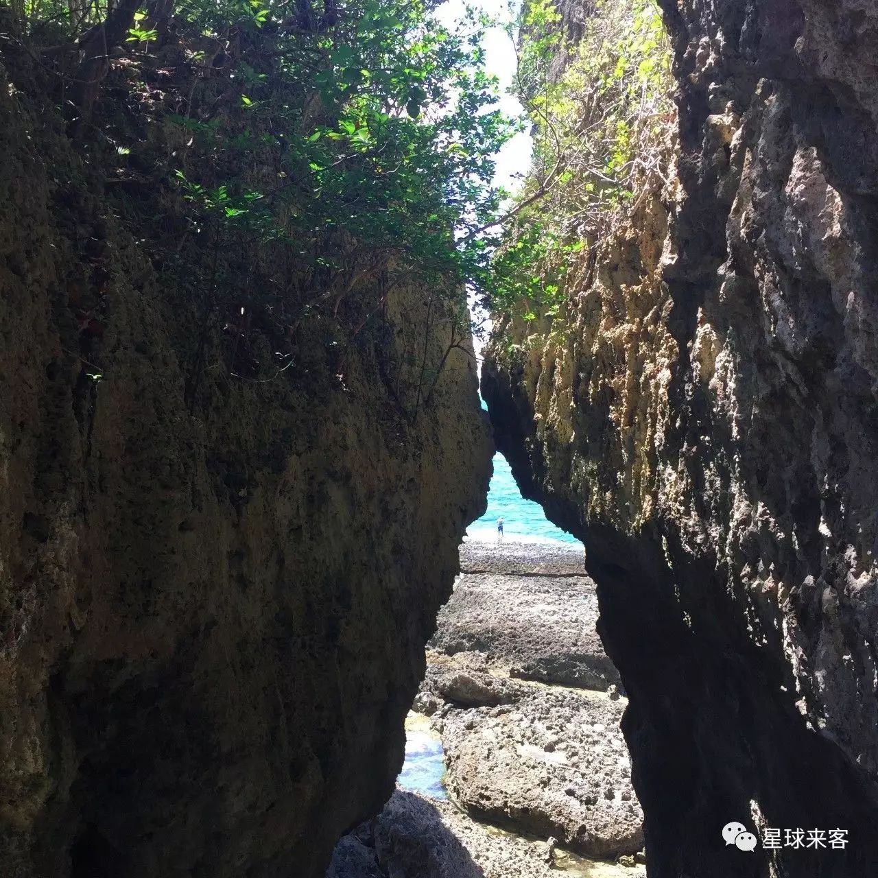 旅游攻略台湾高雄-台湾高雄的景点(图29) 旅游攻略台湾高雄_台湾高雄有什么好玩的_台湾高雄的景点