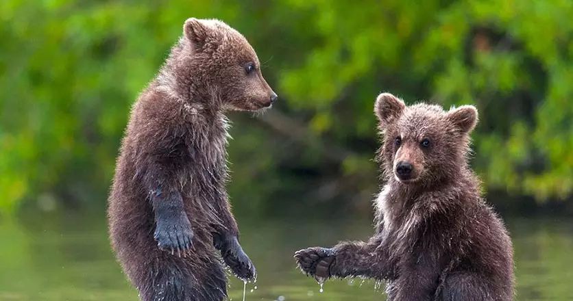 春节元阳旅游攻略_元阳景点游的顺序如何安排_元阳游玩攻略