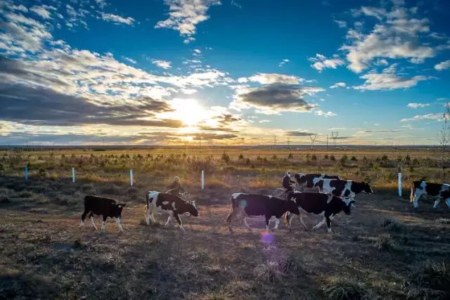 元阳游玩攻略_元阳景点游的顺序如何安排_春节元阳旅游攻略