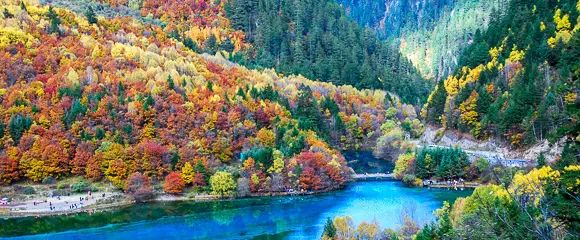 春节元阳旅游攻略_元阳景点游的顺序如何安排_元阳游玩攻略