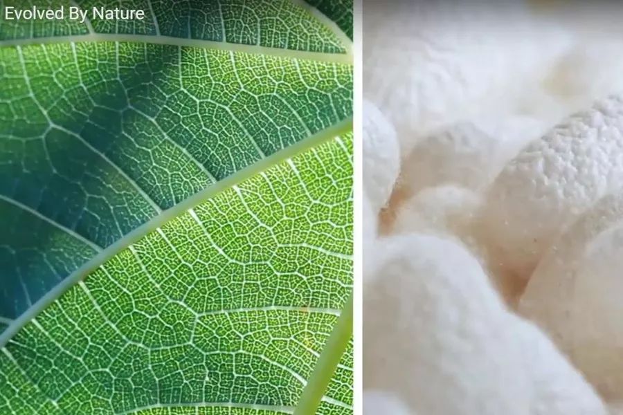 国内做背包定制_深圳背包厂家_深圳时尚背包生产定制