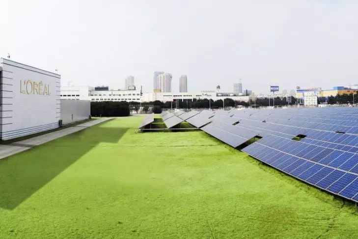 深圳背包厂家_国内做背包定制_深圳时尚背包生产定制