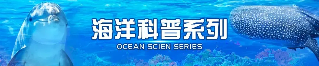 深圳时尚背包生产定制_国内做背包定制_深圳背包厂家