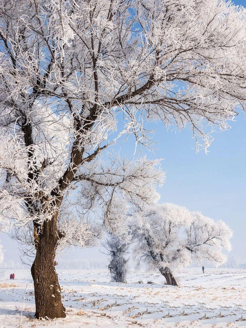 长白山旅游攻略-长白山攻略旅游路线图(图4) 长白山旅游攻略_长白山攻略旅游攻畿_长白山攻略旅游路线图