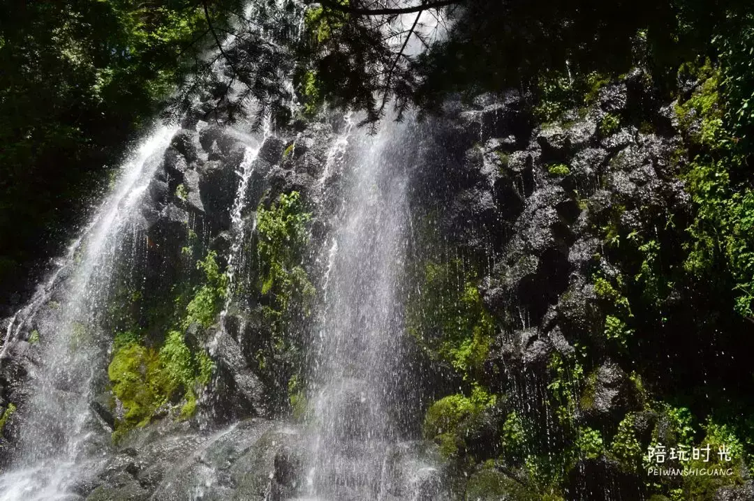 长白山旅游攻略-长白山攻略旅游路线图(图19) 长白山攻略旅游路线_长白山攻略旅游路线图_长白山旅游攻略