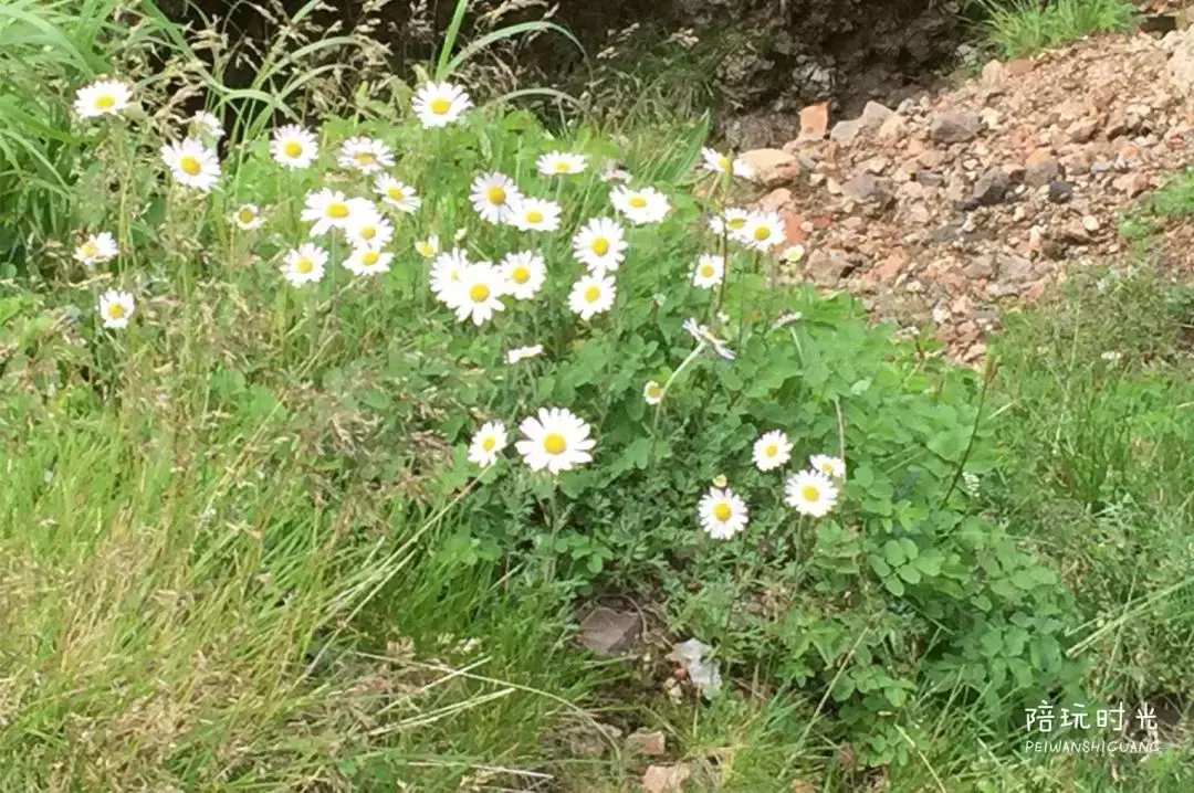 长白山旅游攻略-长白山攻略旅游路线图(图24) 长白山攻略旅游路线_长白山攻略旅游路线图_长白山旅游攻略