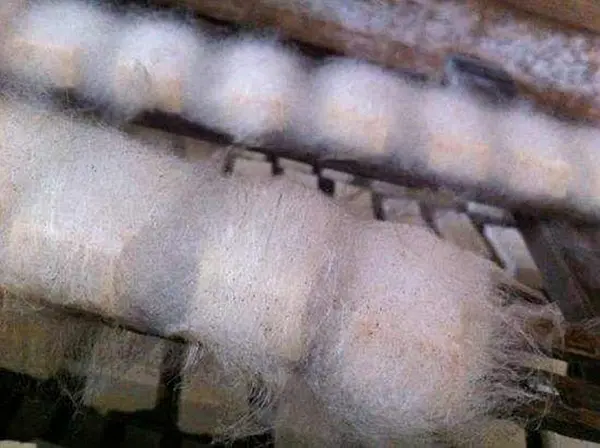 攻略杭州旅游九华山路线_杭州九华山是干嘛的_杭州至九华山旅游攻略