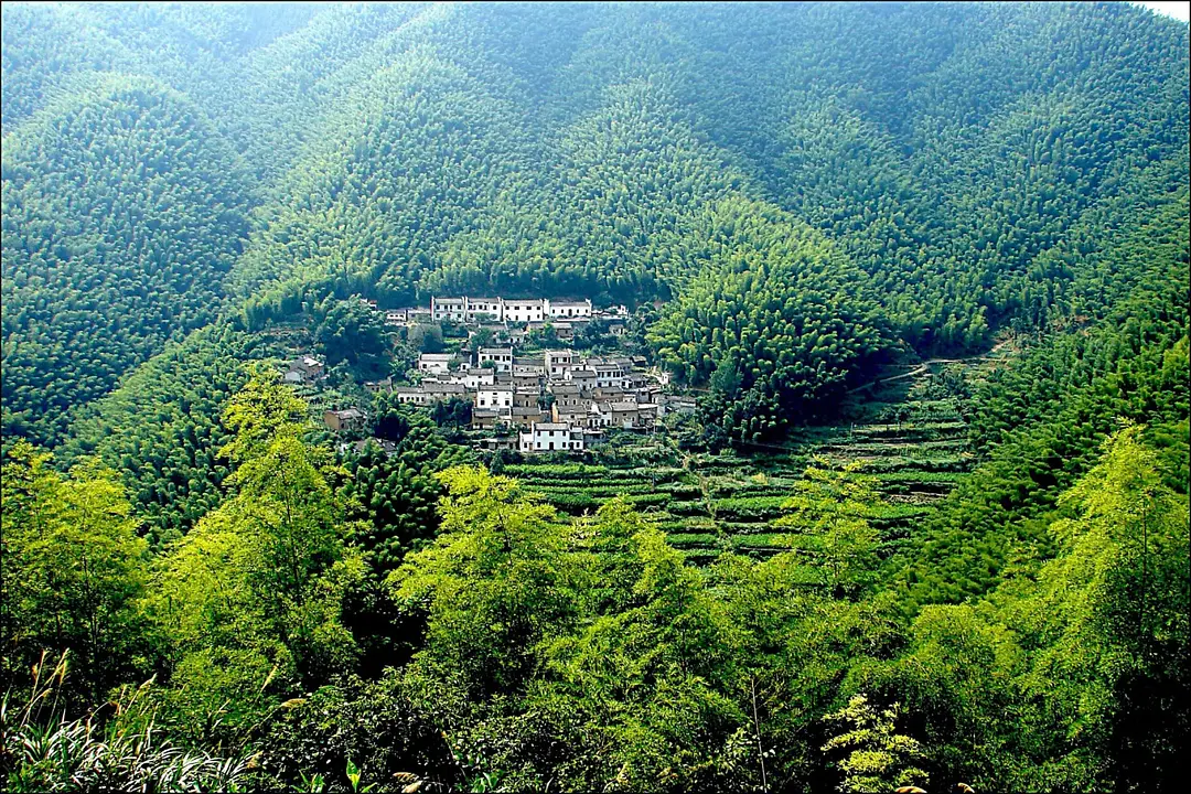 杭州九华山是干嘛的_攻略杭州旅游九华山路线_杭州至九华山旅游攻略