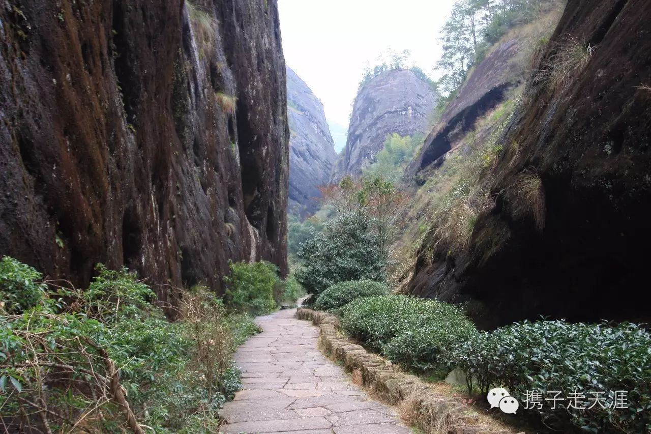 厦门到霞浦自驾游攻略_厦门到霞浦自驾要几个小时_厦门到霞浦旅游攻略