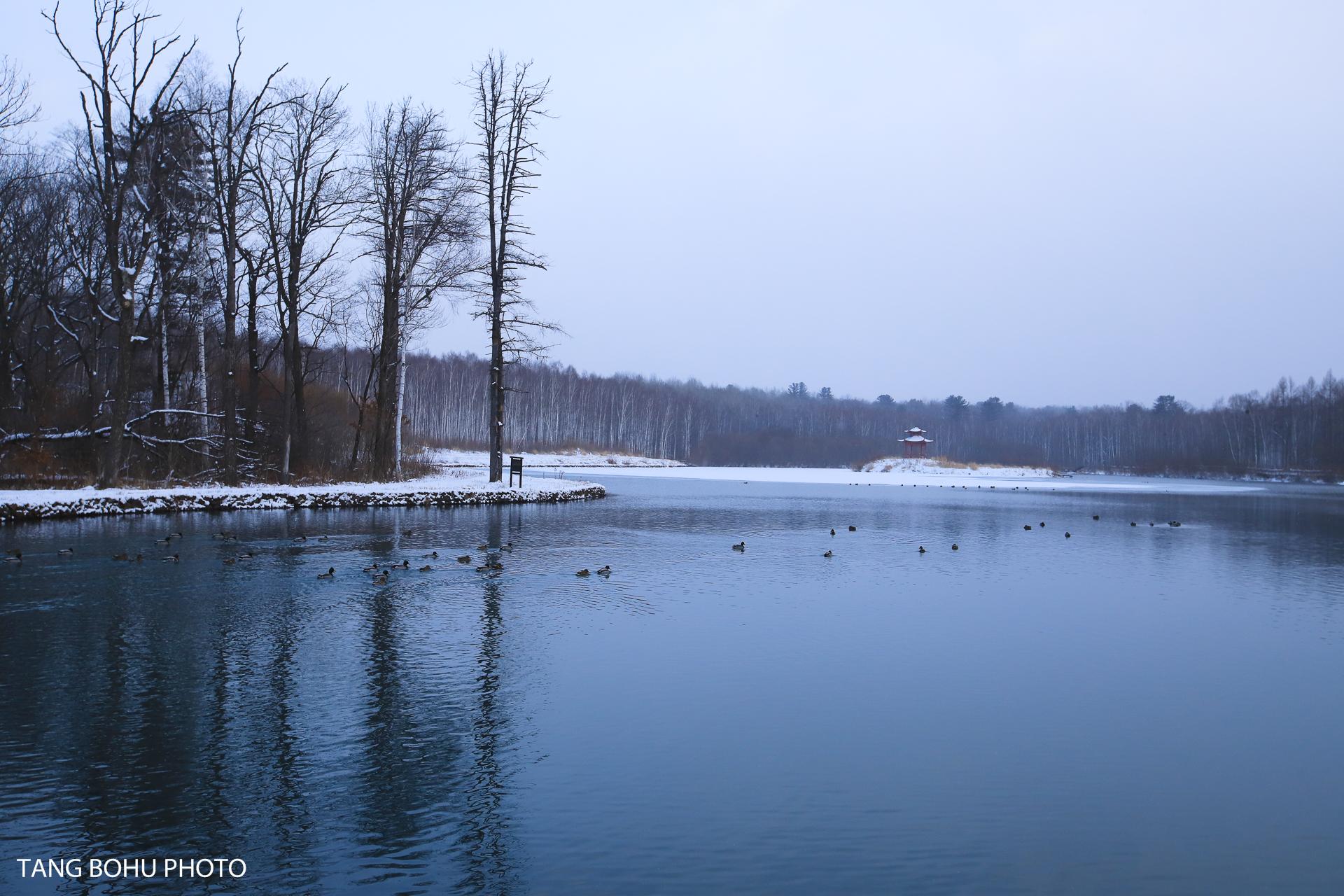 长白山攻略旅游路线_长白山旅游攻略必去景点_长白山旅游攻略
