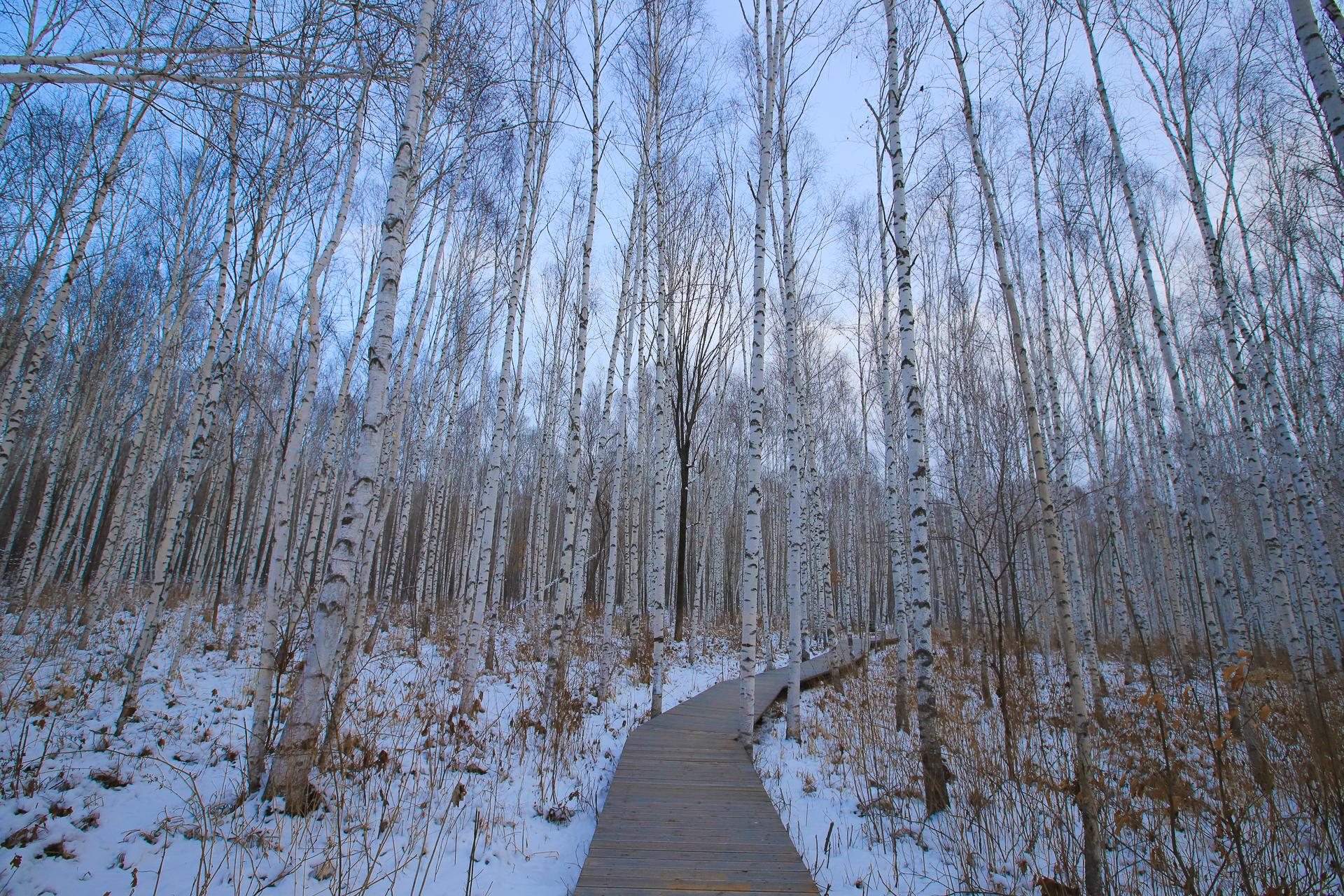 长白山旅游攻略必去景点_长白山旅游攻略_长白山攻略旅游路线