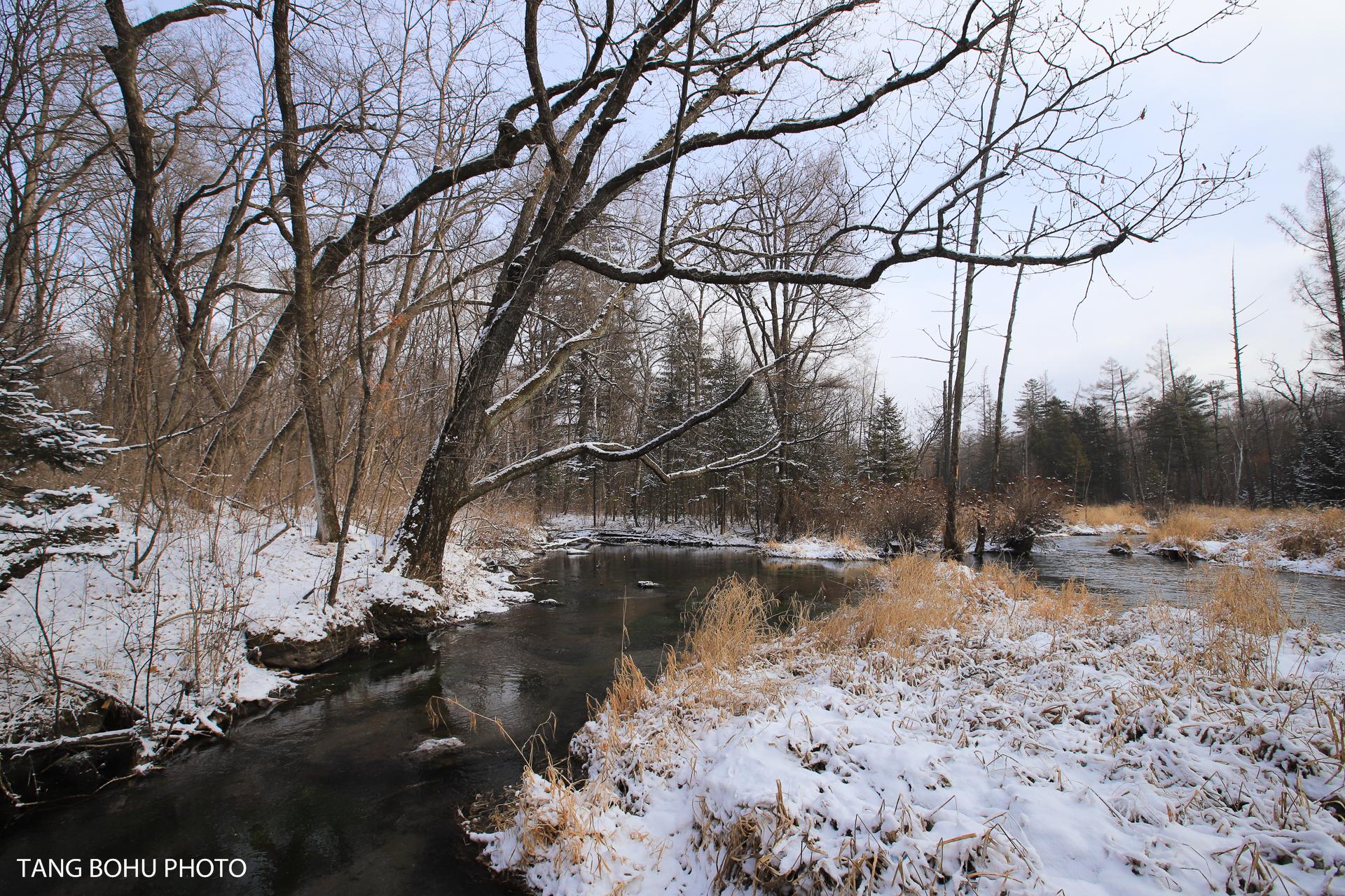 长白山旅游攻略必去景点_长白山攻略旅游路线_长白山旅游攻略