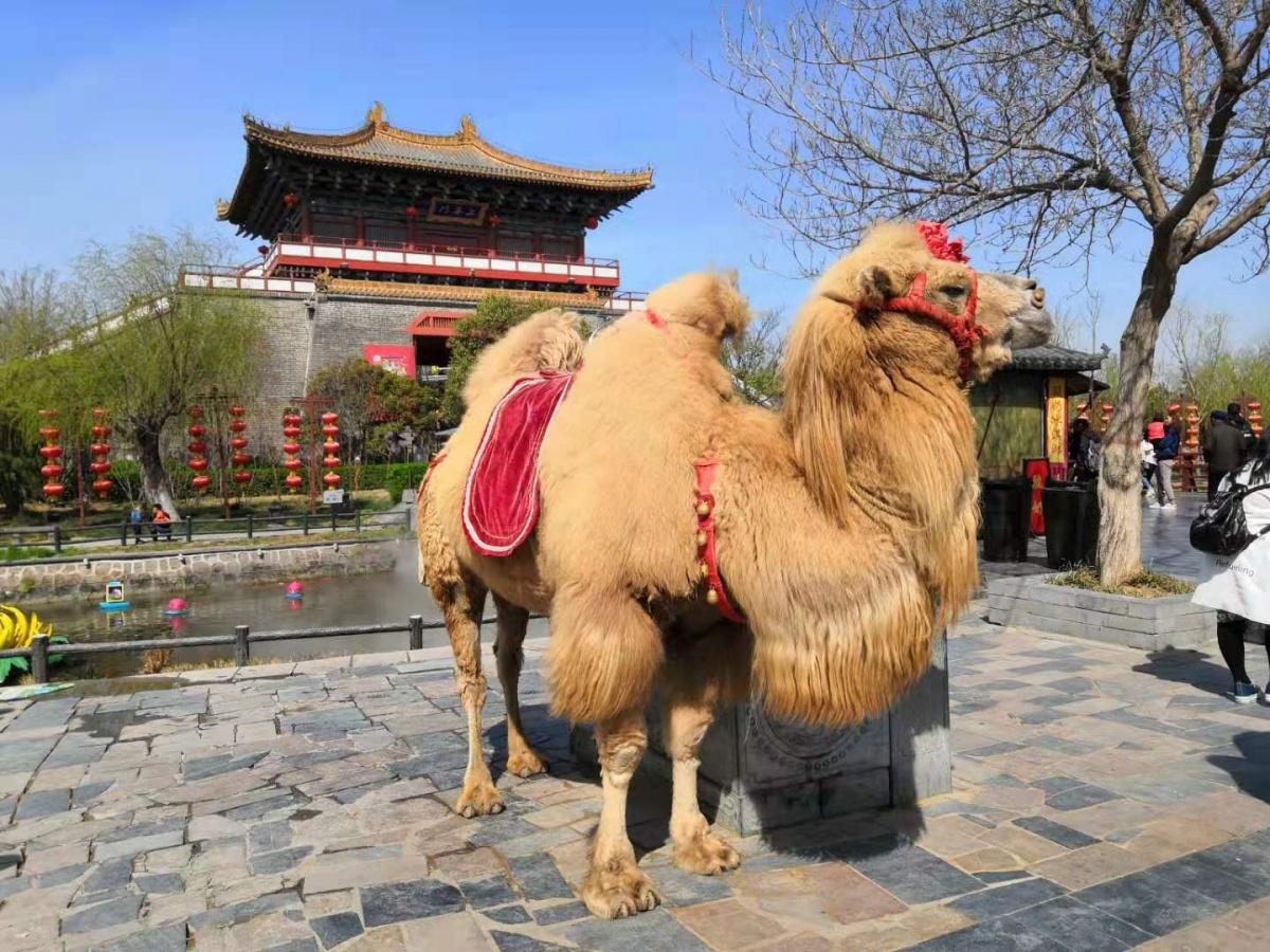 清明上河园旅游攻略_旅游清明上河园朋友圈说说_2021清明上河园旅游攻略