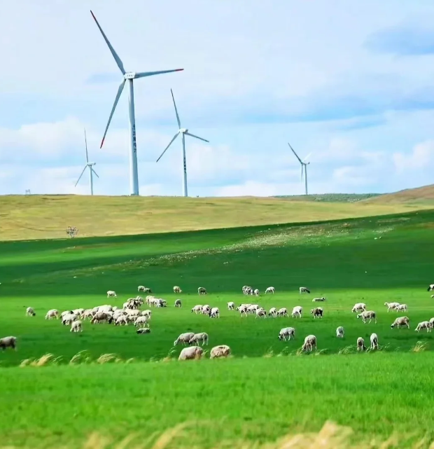 呼伦贝尔 旅游攻略-呼伦贝尔游记攻略(图2) 呼伦贝尔游记攻略_呼伦贝尔 旅游攻略_呼伦贝尔旅游指南