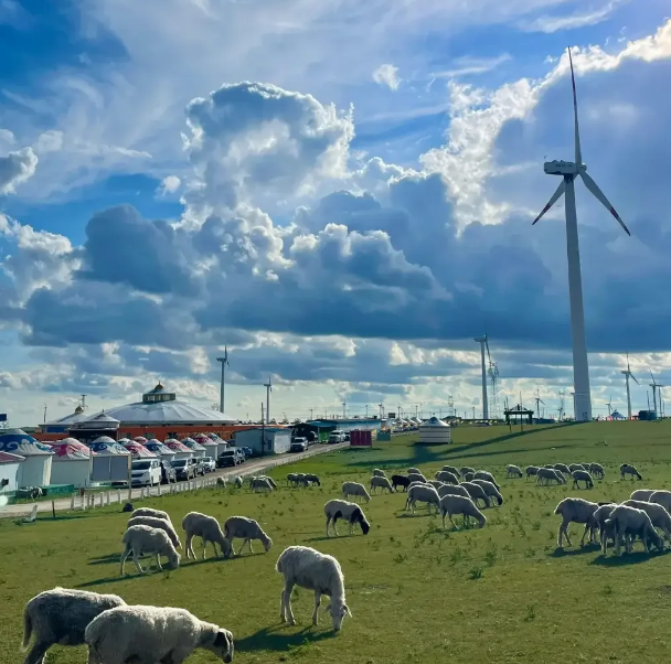 呼伦贝尔 旅游攻略-呼伦贝尔游记攻略(图3) 呼伦贝尔旅游指南_呼伦贝尔 旅游攻略_呼伦贝尔游记攻略