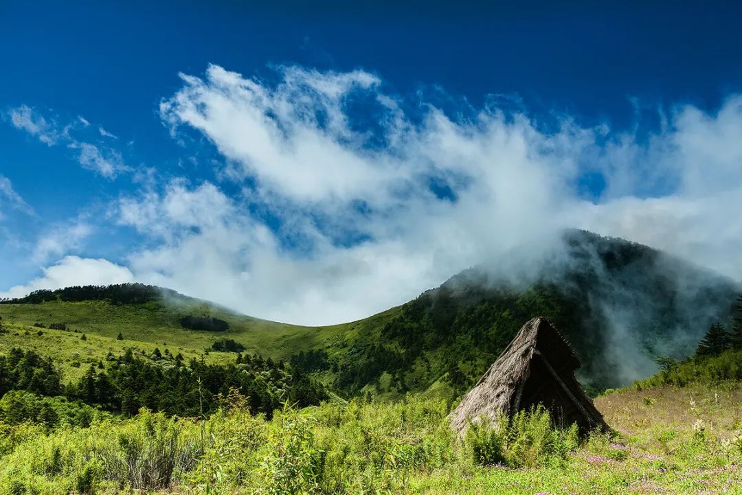 神农架旅游攻略一日游_神农架旅游攻略二日游_游玩神农架攻略