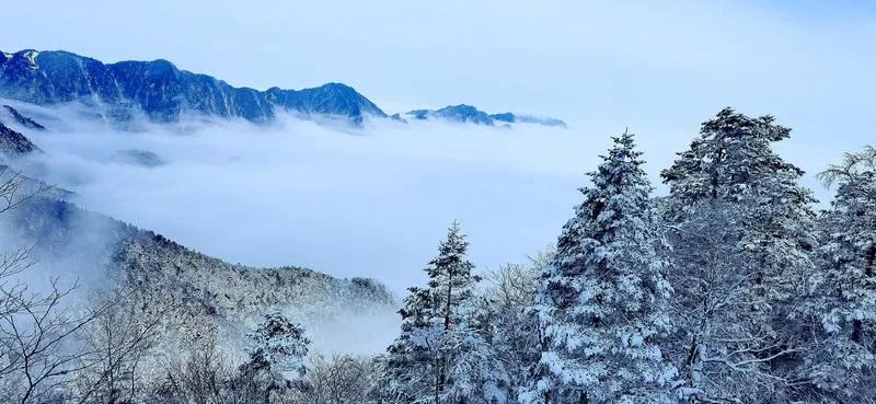 神农架旅游攻略一日游_神农架旅游攻略二日游_游玩神农架攻略