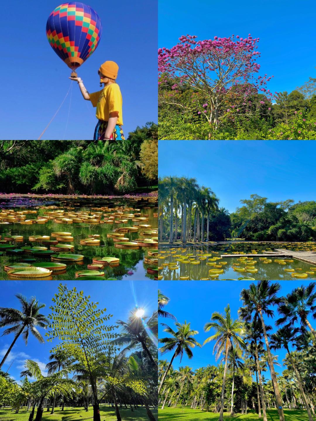 云南昆明,腾冲,西双版纳线路旅游攻略-腾冲西双版纳哪个好玩(图5) 西双版纳腾冲旅游攻略自由行_云南昆明,腾冲,西双版纳线路旅游攻略_腾冲西双版纳哪个好玩