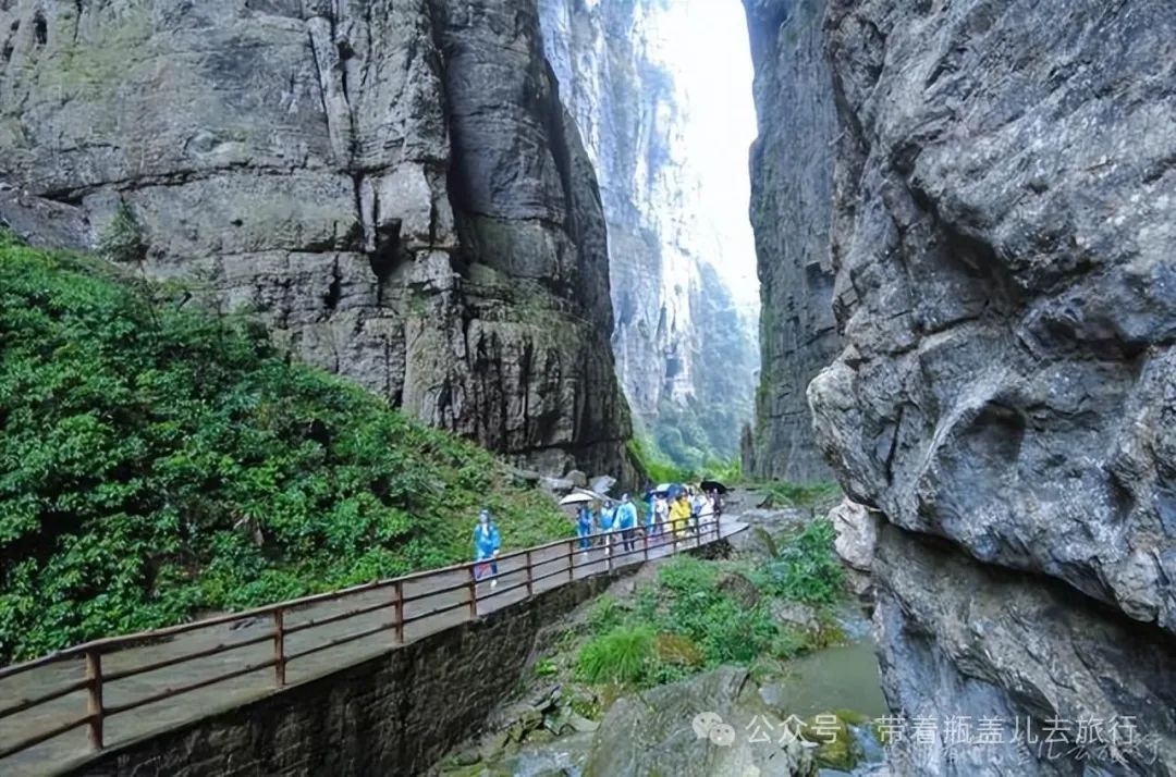 重庆武隆旅游攻略两天-重庆武隆一日游路线(图21) 重庆武隆一日游路线_重庆武隆旅游攻略两天_重庆武隆旅游线路
