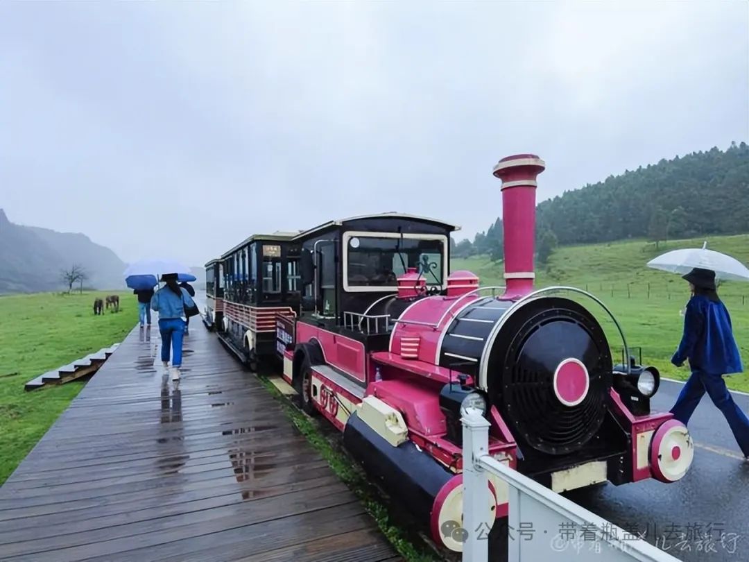 重庆武隆旅游攻略两天-重庆武隆一日游路线(图24) 重庆武隆一日游路线_重庆武隆旅游攻略两天_重庆武隆旅游线路