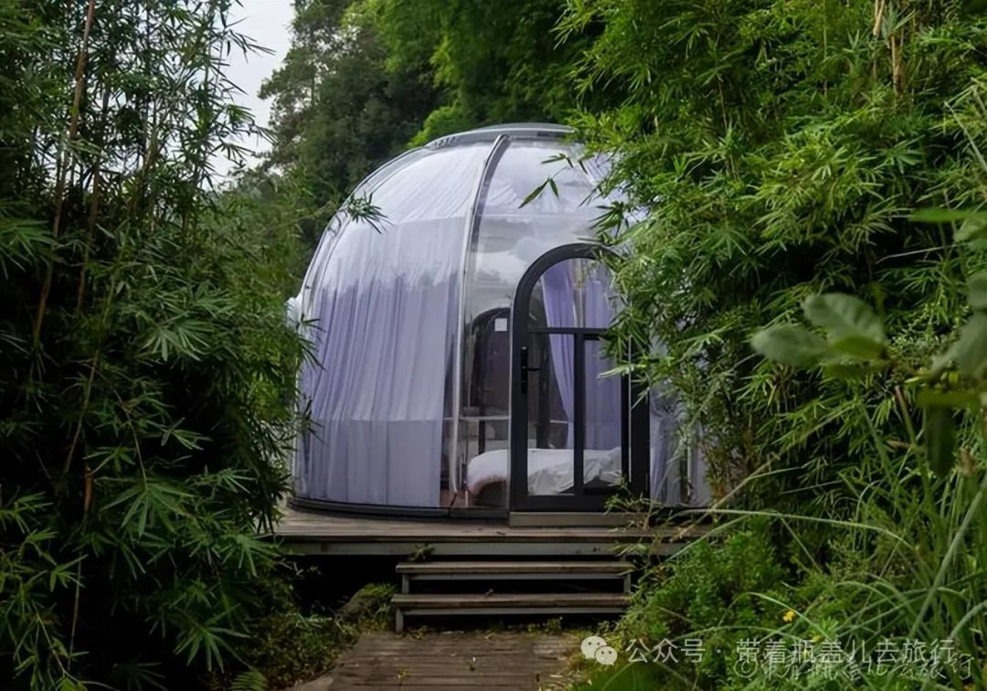 重庆武隆旅游攻略两天-重庆武隆一日游路线(图7) 重庆武隆一日游路线_重庆武隆旅游线路_重庆武隆旅游攻略两天