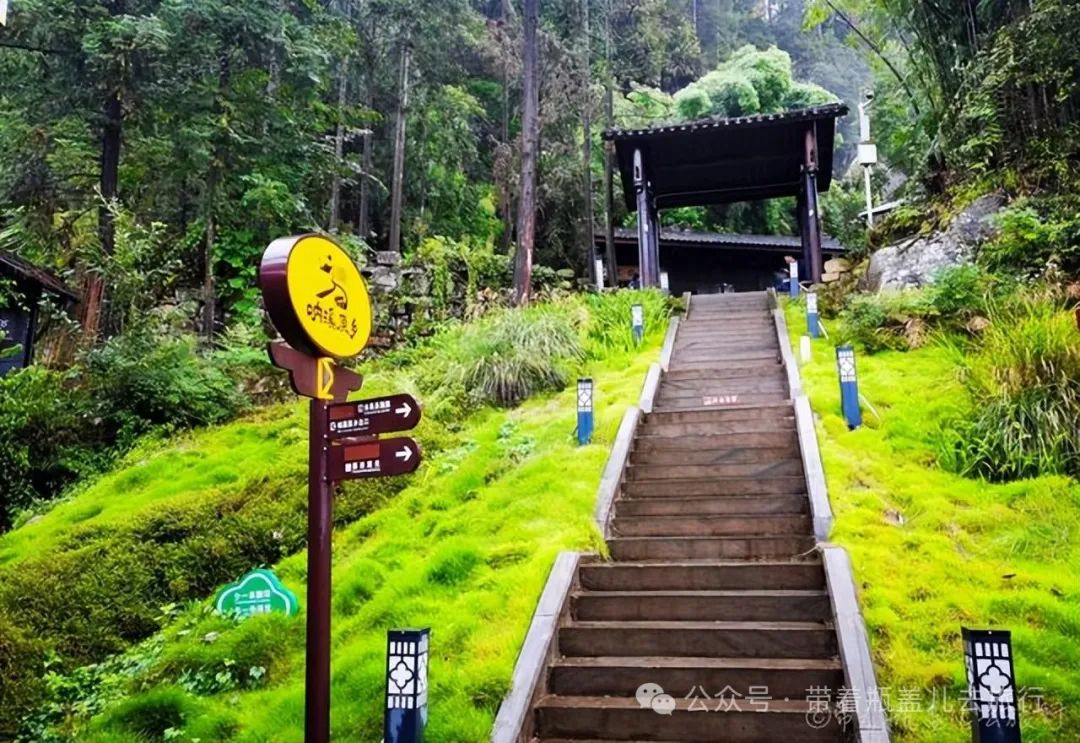 重庆武隆旅游攻略两天-重庆武隆一日游路线(图8) 重庆武隆一日游路线_重庆武隆旅游线路_重庆武隆旅游攻略两天