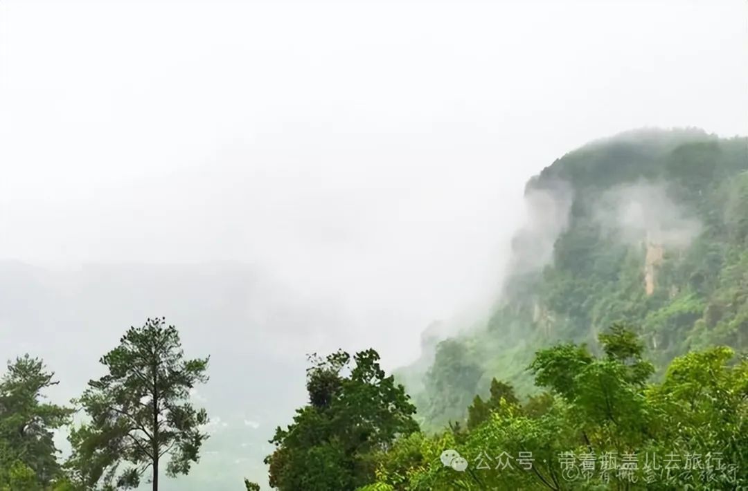 重庆武隆旅游攻略两天-重庆武隆一日游路线(图9) 重庆武隆旅游攻略两天_重庆武隆旅游线路_重庆武隆一日游路线