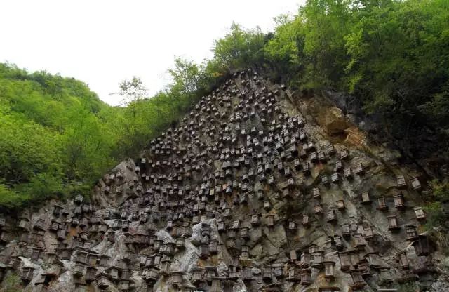 神农架旅游攻略一日游-神农架攻略二日游(图14) 神农架旅游攻略一日游_神农架旅游攻略二日游_神农架攻略二日游