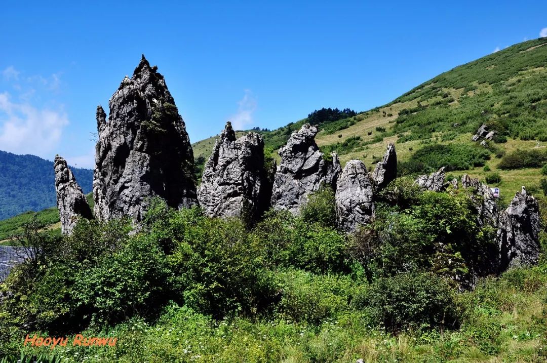神农架旅游攻略一日游-神农架攻略二日游(图4) 神农架旅游攻略二日游_神农架旅游攻略一日游_神农架攻略二日游