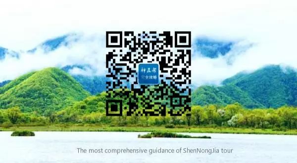 神农架旅游攻略一日游-神农架攻略二日游(图25) 神农架旅游攻略二日游_神农架攻略二日游_神农架旅游攻略一日游