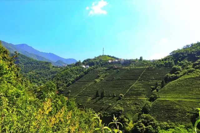 神农架旅游攻略一日游-神农架攻略二日游(图7) 神农架旅游攻略二日游_神农架旅游攻略一日游_神农架攻略二日游